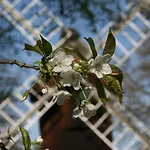 Wohnloft