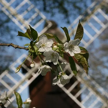 Wohnloft * Himmelpforten